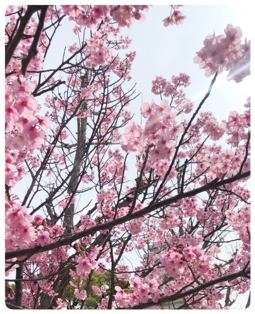 掛けてよし、飾ってよし♪の画像