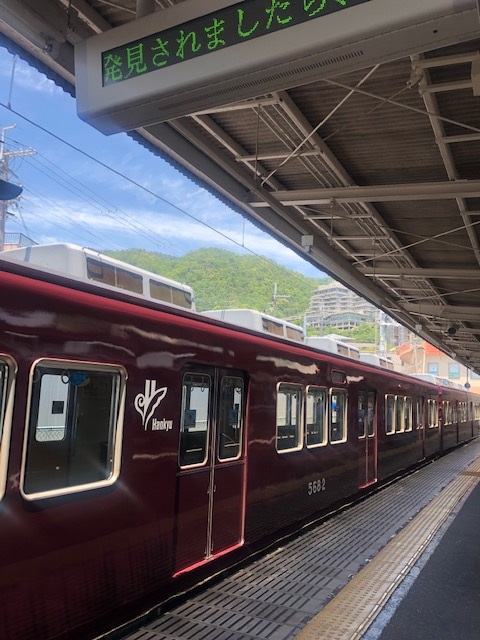 の画像