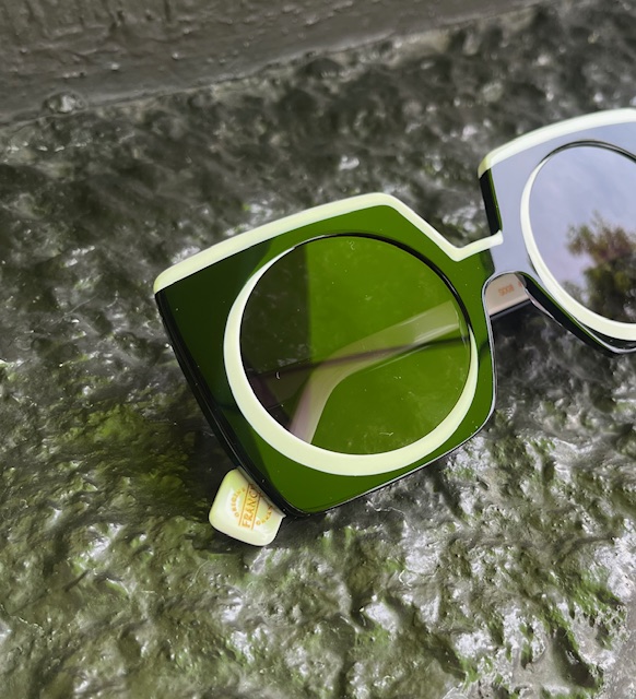 注目の的♪の画像